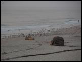 Click on one of the size names below to enlarge this image