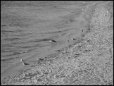 Click on one of the size names below to enlarge this image