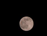 Click on one of the size names above to enlarge this image