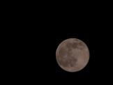Click on one of the size names above to enlarge this image