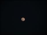 Click on one of the size names above to enlarge this image
